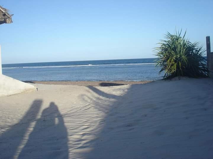 Mango Lodge Msambweni Kisimachande Exterior photo